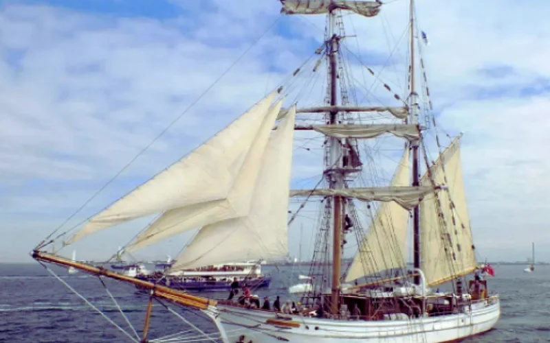 Sydney Harbour Tall Ships