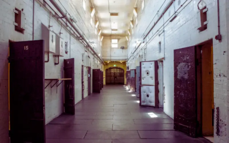 Cells