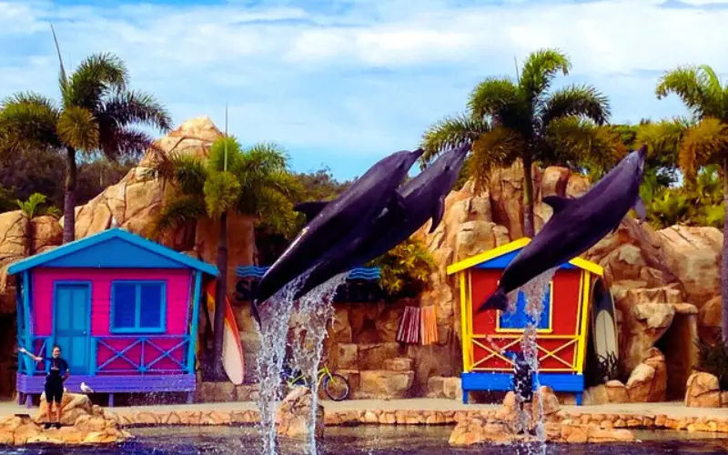 Sea World Gold Coast