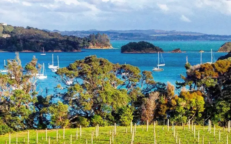 Waiheke Island  views